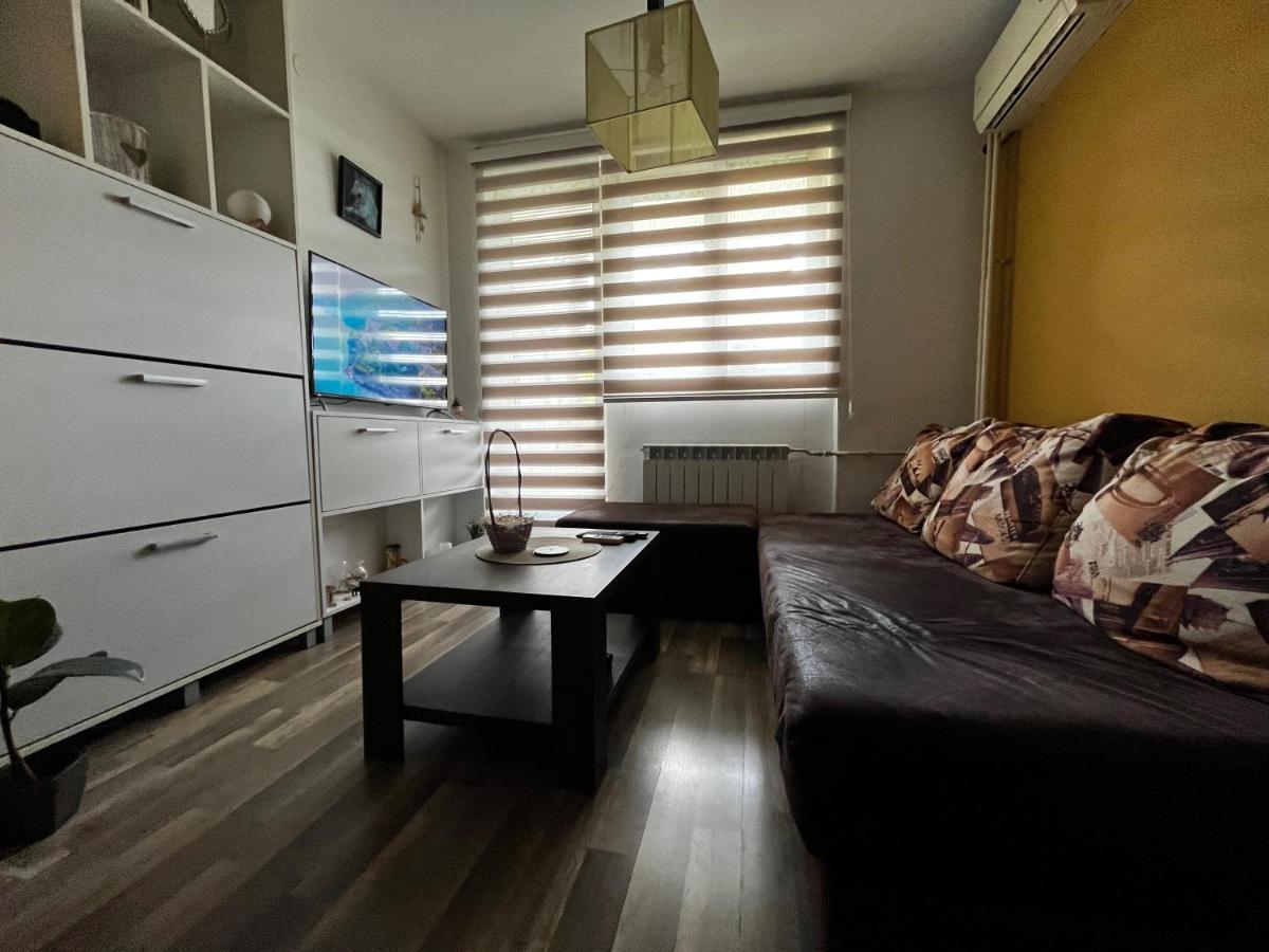 Sova Apartment Vrsac Exterior photo