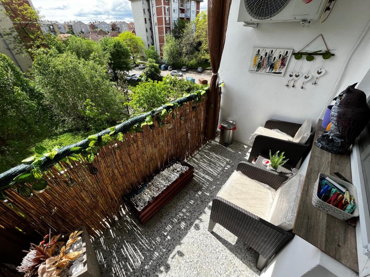 Sova Apartment Vrsac Exterior photo
