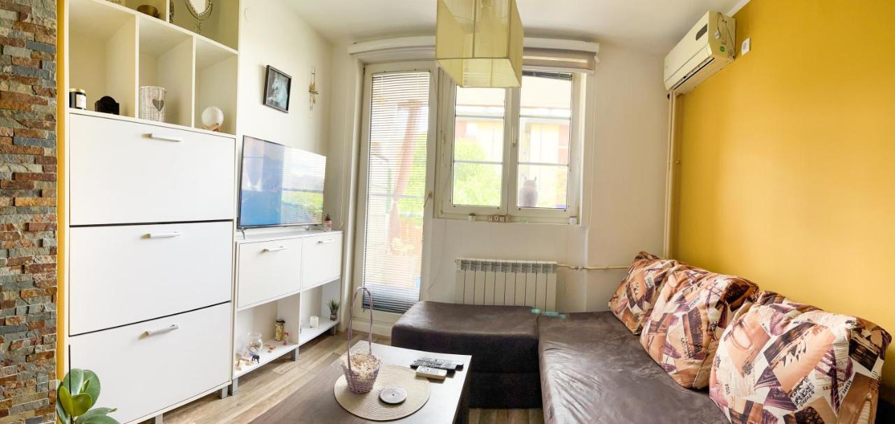 Sova Apartment Vrsac Exterior photo